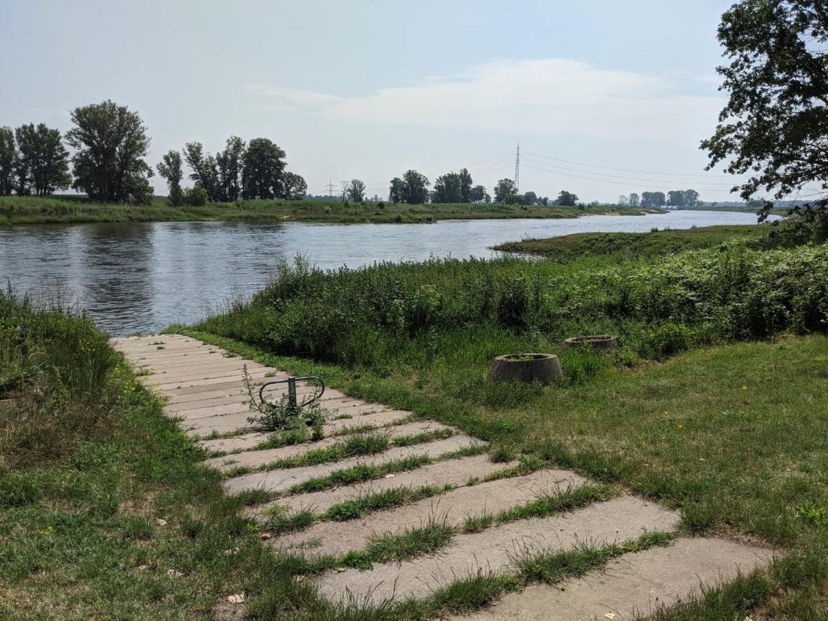 An Den Elbwiesen Gz Fewo Elbeblick Nur Nichtraucher Dommitzsch Bagian luar foto