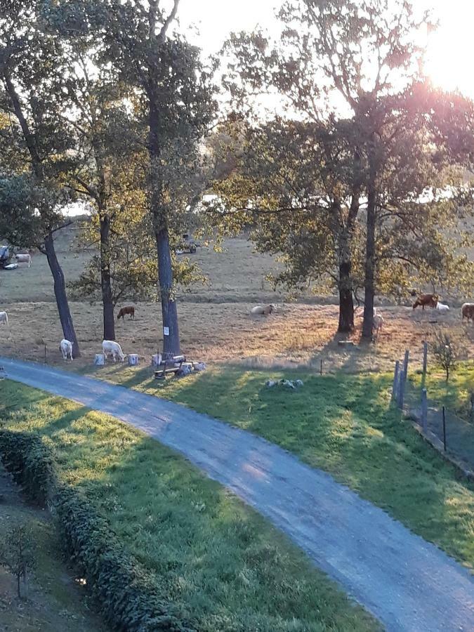 An Den Elbwiesen Gz Fewo Elbeblick Nur Nichtraucher Dommitzsch Bagian luar foto