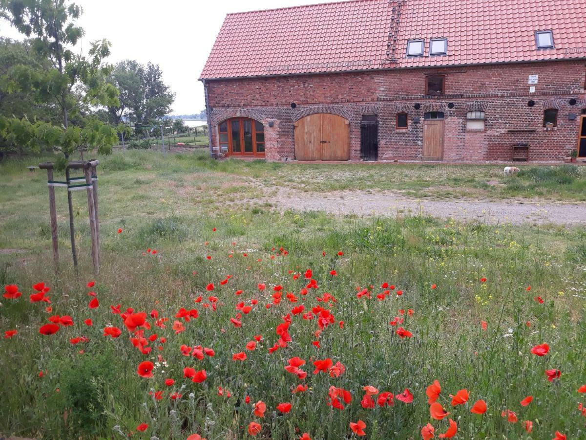 An Den Elbwiesen Gz Fewo Elbeblick Nur Nichtraucher Dommitzsch Bagian luar foto